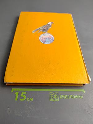 Скажи мне, почему?..