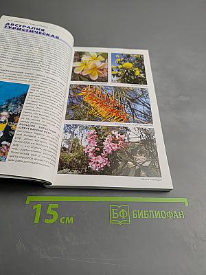 Ле Пти Фюте Австралия