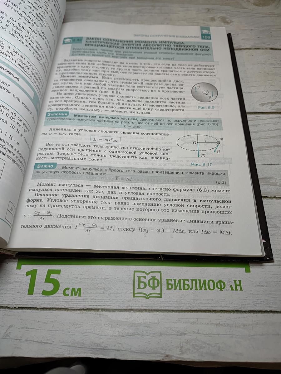 Физика 10 класс