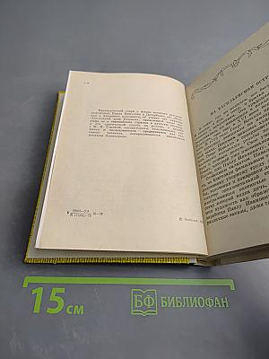 Карл Брюллов в Петербурге