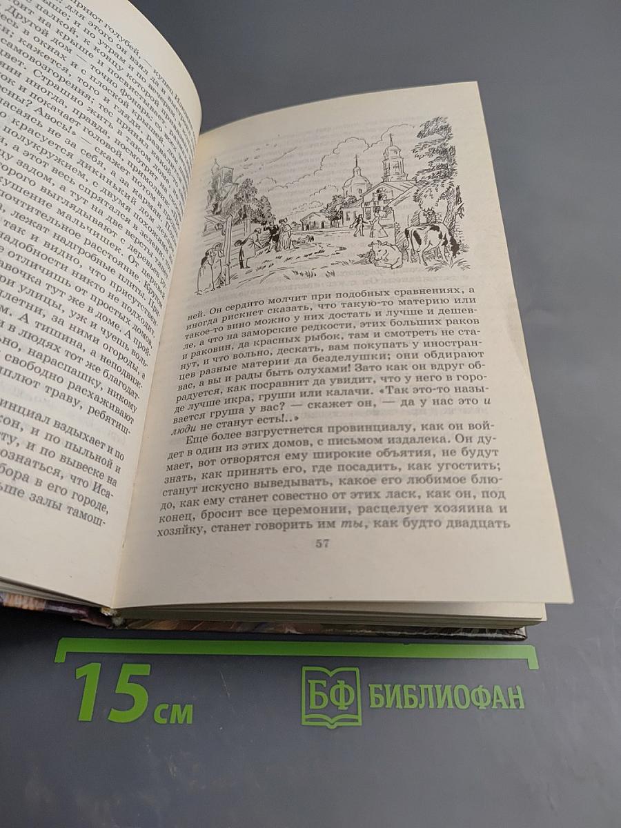 Обыкновенная история