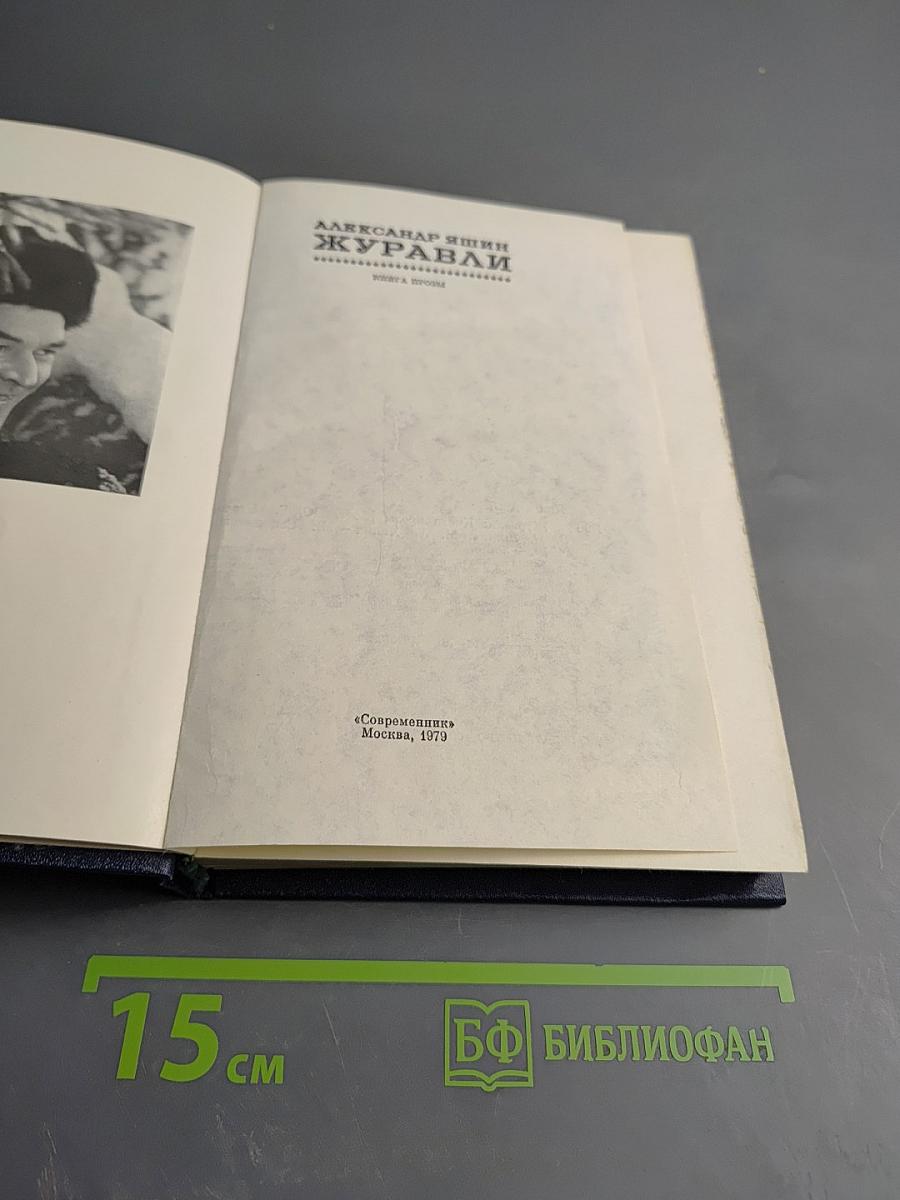 Журавли. Книга прозы