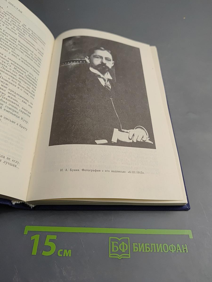 Жизнь Бунина. Беседы с памятью