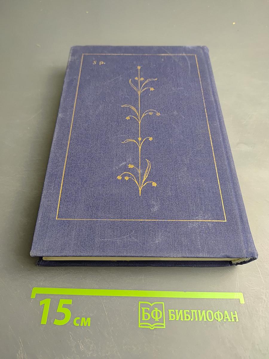 Жизнь Бунина. Беседы с памятью