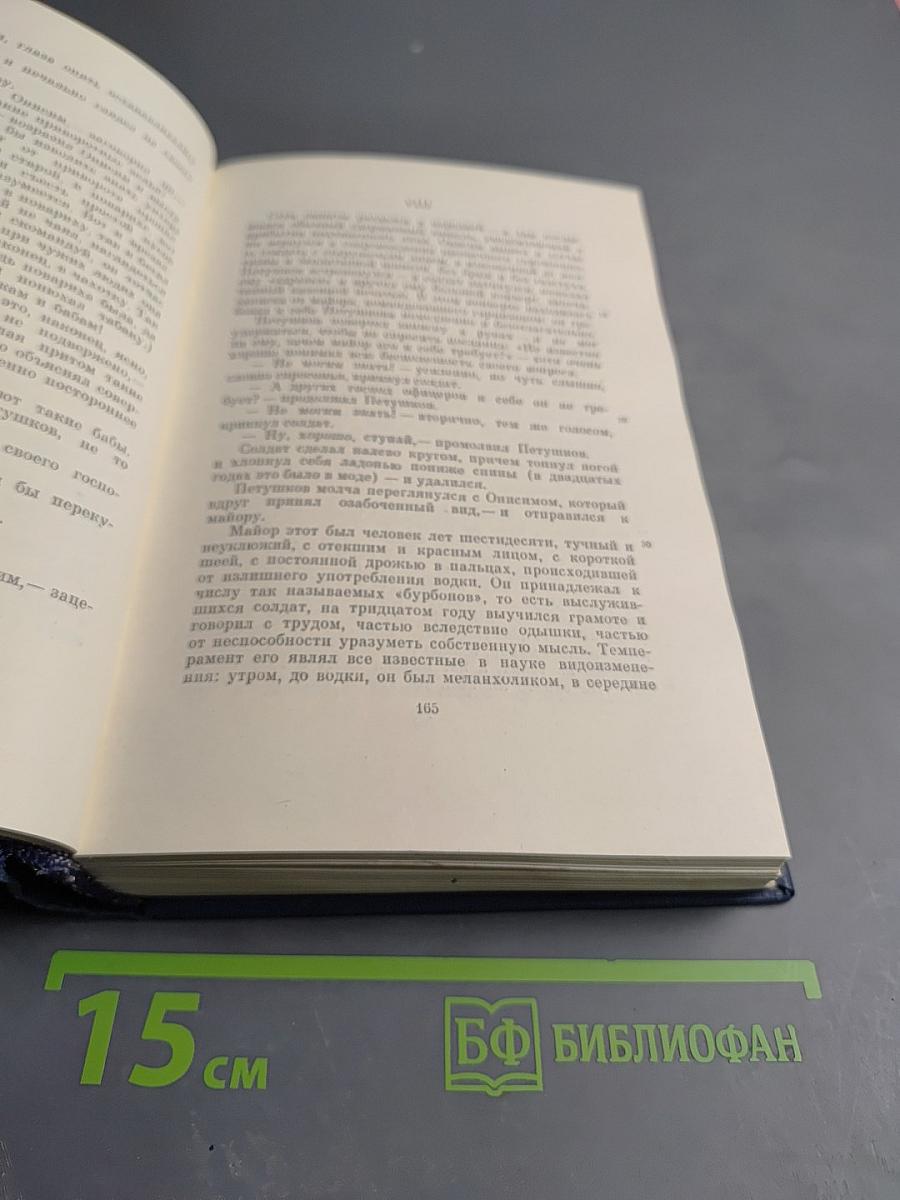 Собрание сочинений. Том шестой. Повести и рассказы. Статьи и рецензии 1844-1854