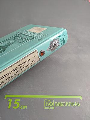 Ричард Длинные Руки - властелин трех замков