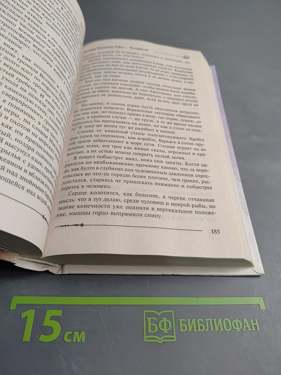 Ричард Длинные Руки - вильдграф