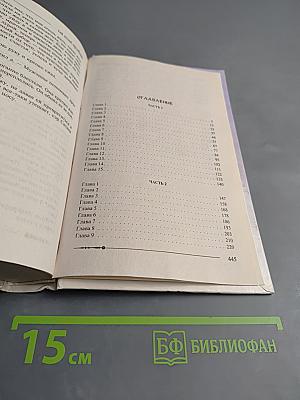 Ричард Длинные Руки - вильдграф