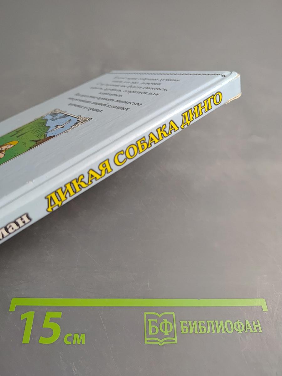 Дикая собака Динго, или Повесть о первой любви