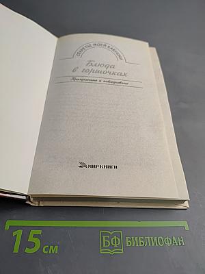 Блюда в горшочках. Праздничные и повседневные
