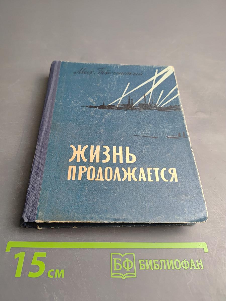 Жизнь продолжается