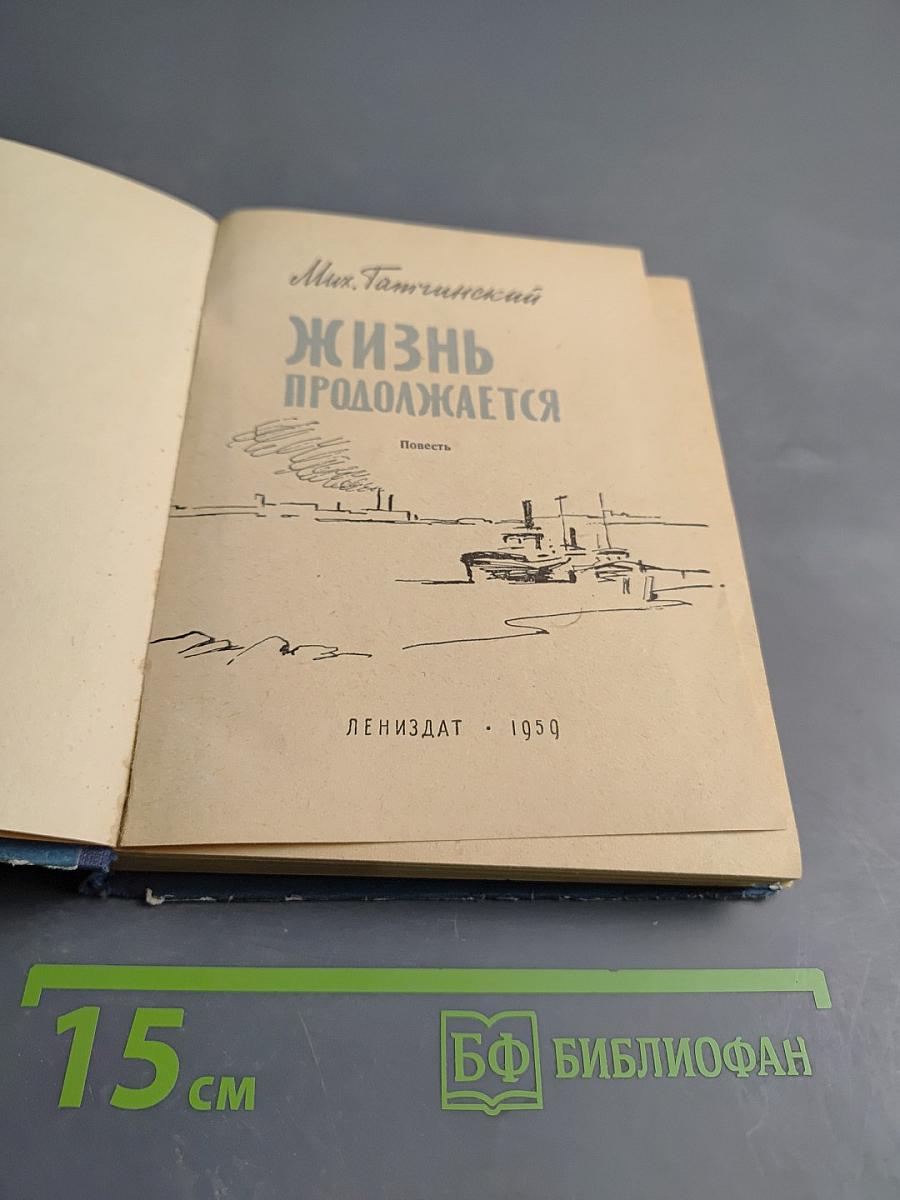 Жизнь продолжается