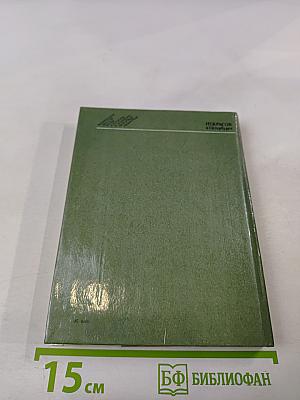 Некрасов в Петербурге