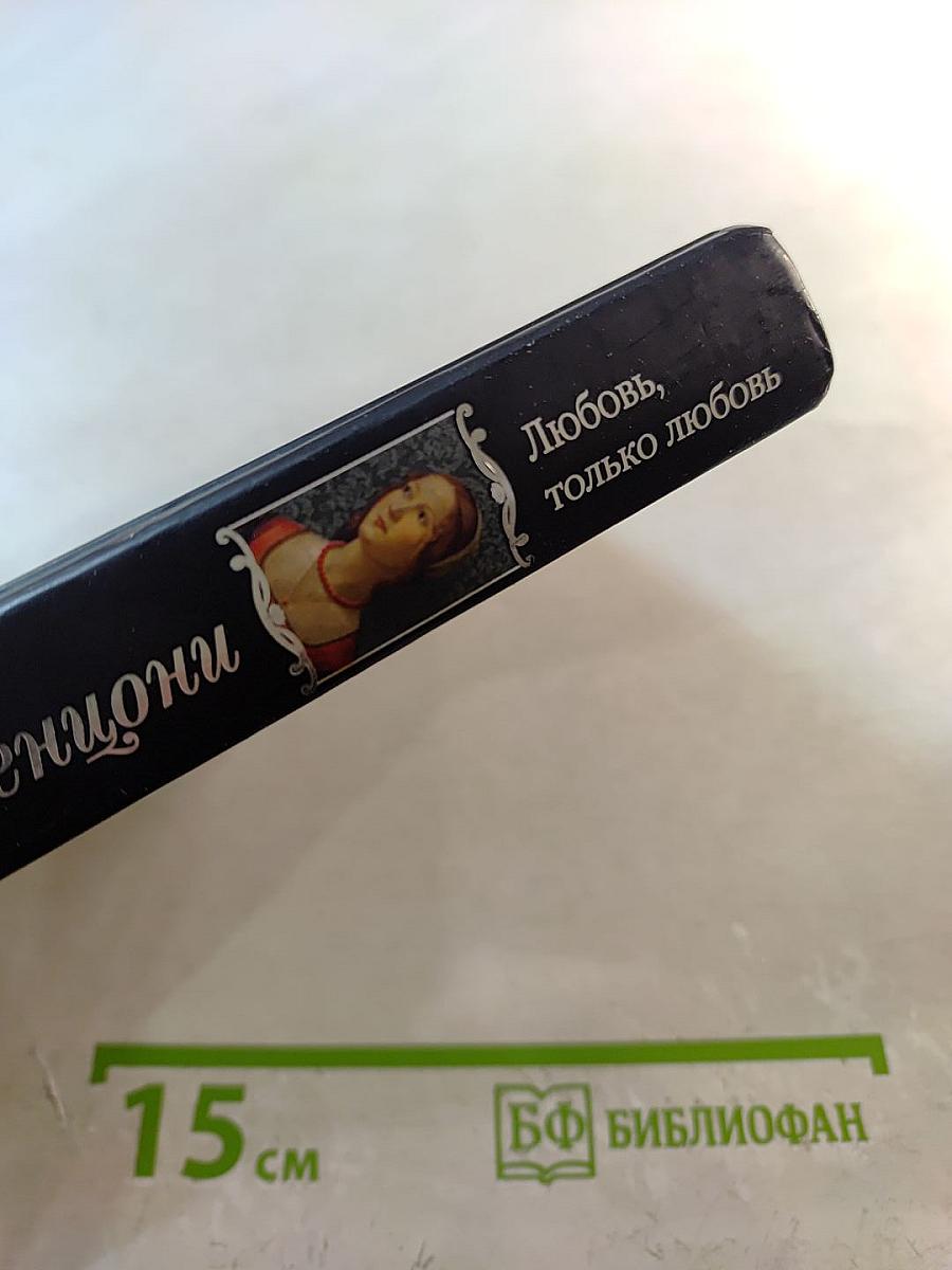 Любовь, только любовь