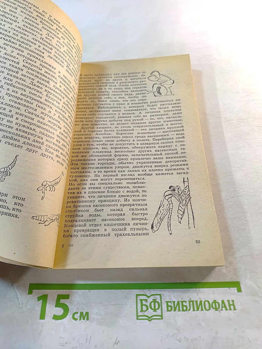 Кольцо царя Соломона