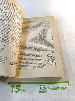 Кольцо царя Соломона