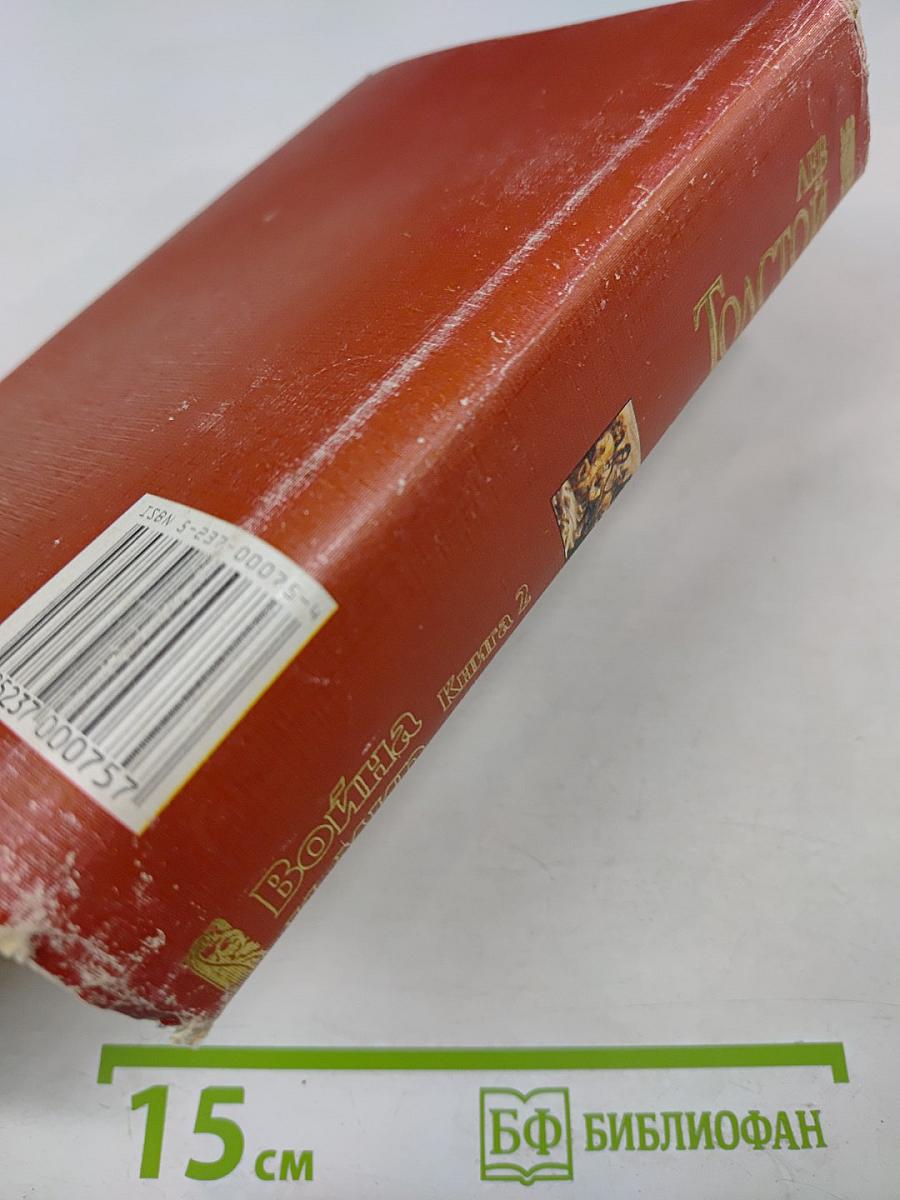 Война и мир. Книга 2. Тома 3, 4