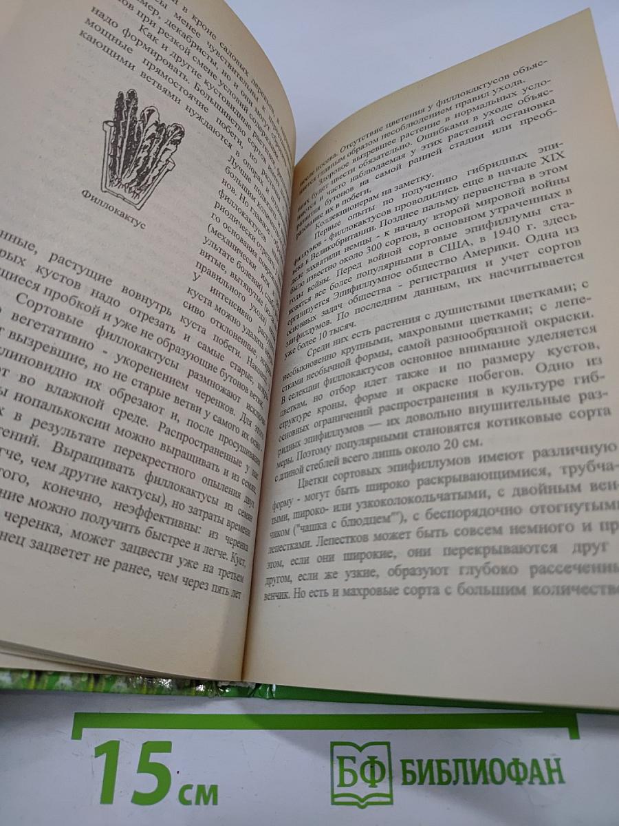 Разведение кактусов