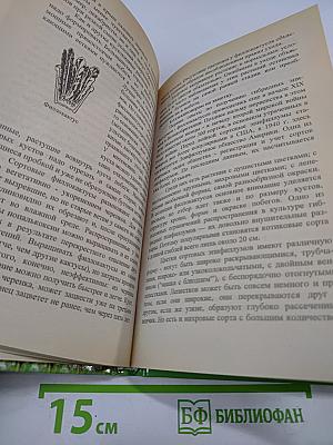 Разведение кактусов