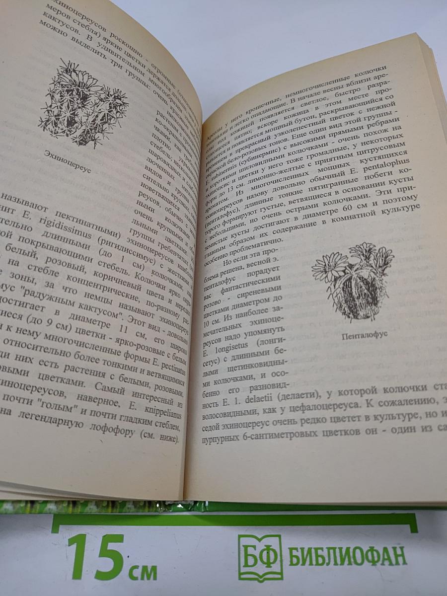 Разведение кактусов