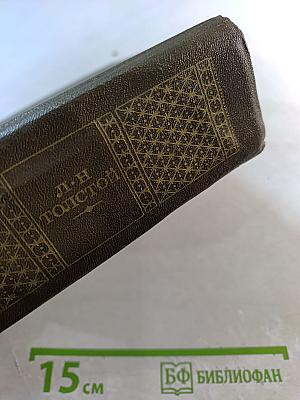 Письма. Тома девятнадцатый и двадцатый. 1882-1910