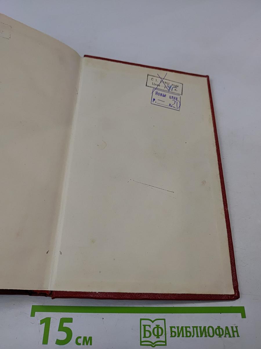 Новая земля