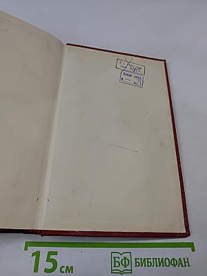 Новая земля