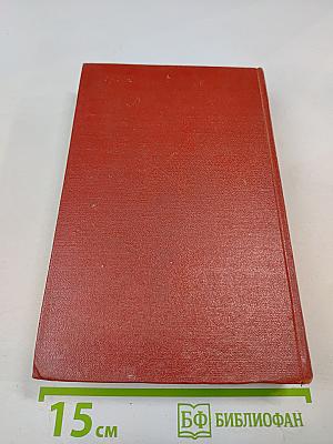 Новая земля