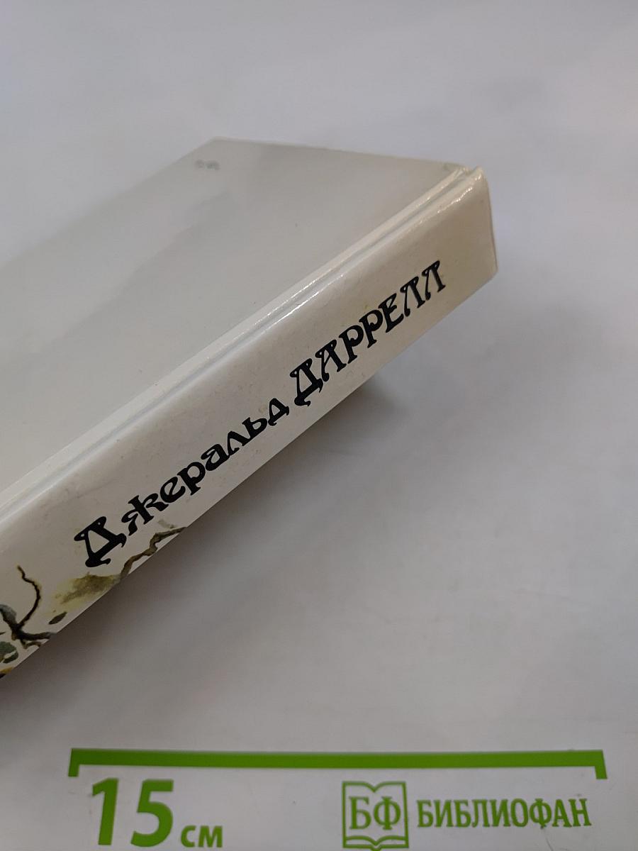 Под пологом пьяного леса