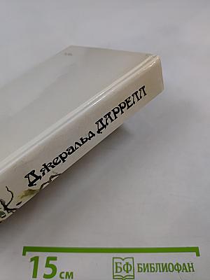 Под пологом пьяного леса