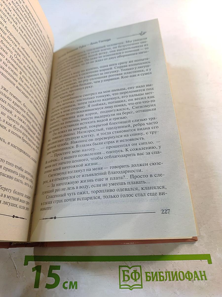 Ричард Длинные Руки - воин Господа