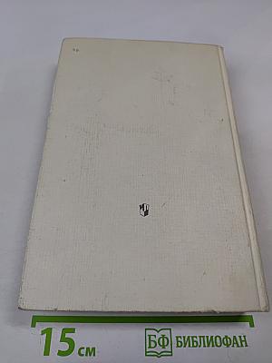 История русской литературы XIX века (Вторая половина)