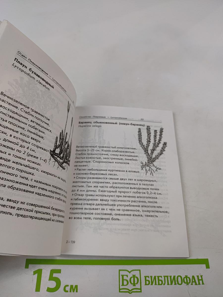 Лекарственные растения