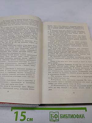 Дневник и память. О пережитом в годы блокады
