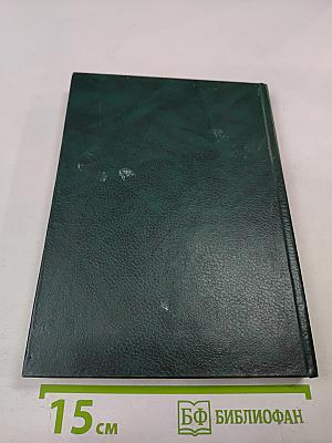 Права и обязанности сторон кредитного договора по российскому и германскому праву. Книга 2