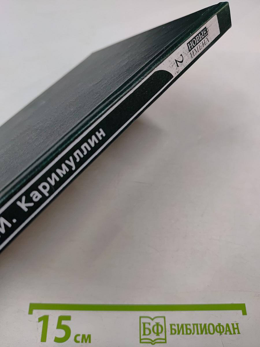 Права и обязанности сторон кредитного договора по российскому и германскому праву. Книга 2