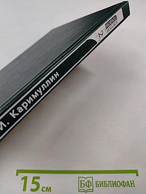 Права и обязанности сторон кредитного договора по российскому и германскому праву. Книга 2