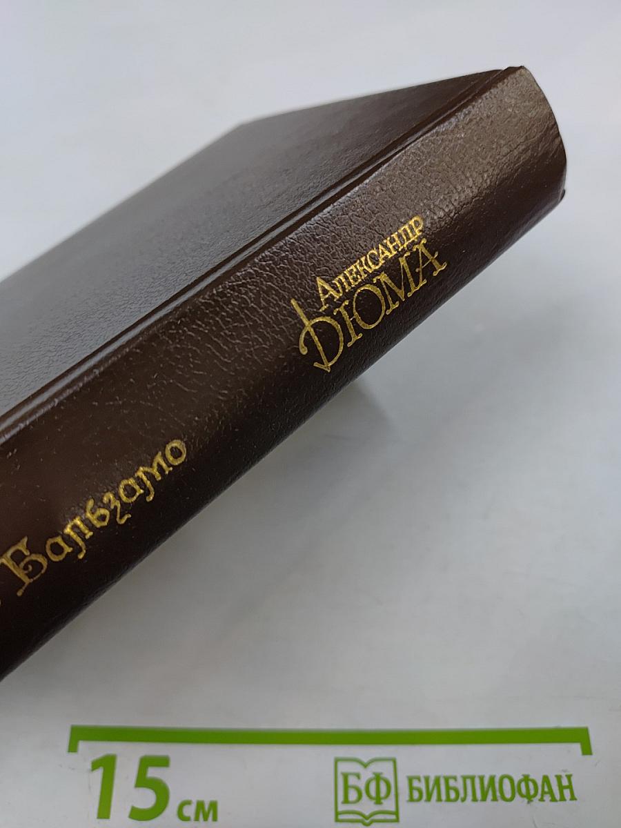 Джузеппе Бальзамо (Записки врача). Собрание сочинений. Том 5