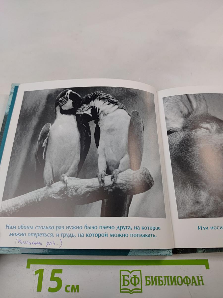 Друзья навеки. Подлинная ценность дружбы