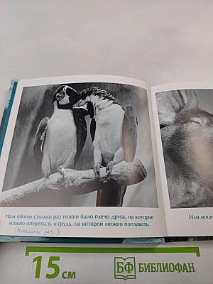 Друзья навеки. Подлинная ценность дружбы