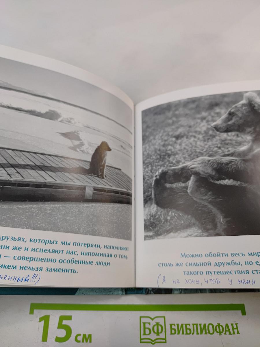 Друзья навеки. Подлинная ценность дружбы