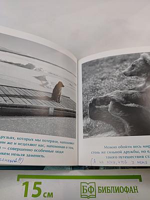 Друзья навеки. Подлинная ценность дружбы