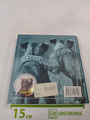 Друзья навеки. Подлинная ценность дружбы