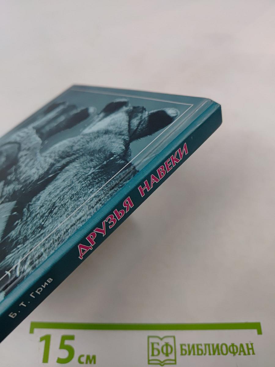 Друзья навеки. Подлинная ценность дружбы