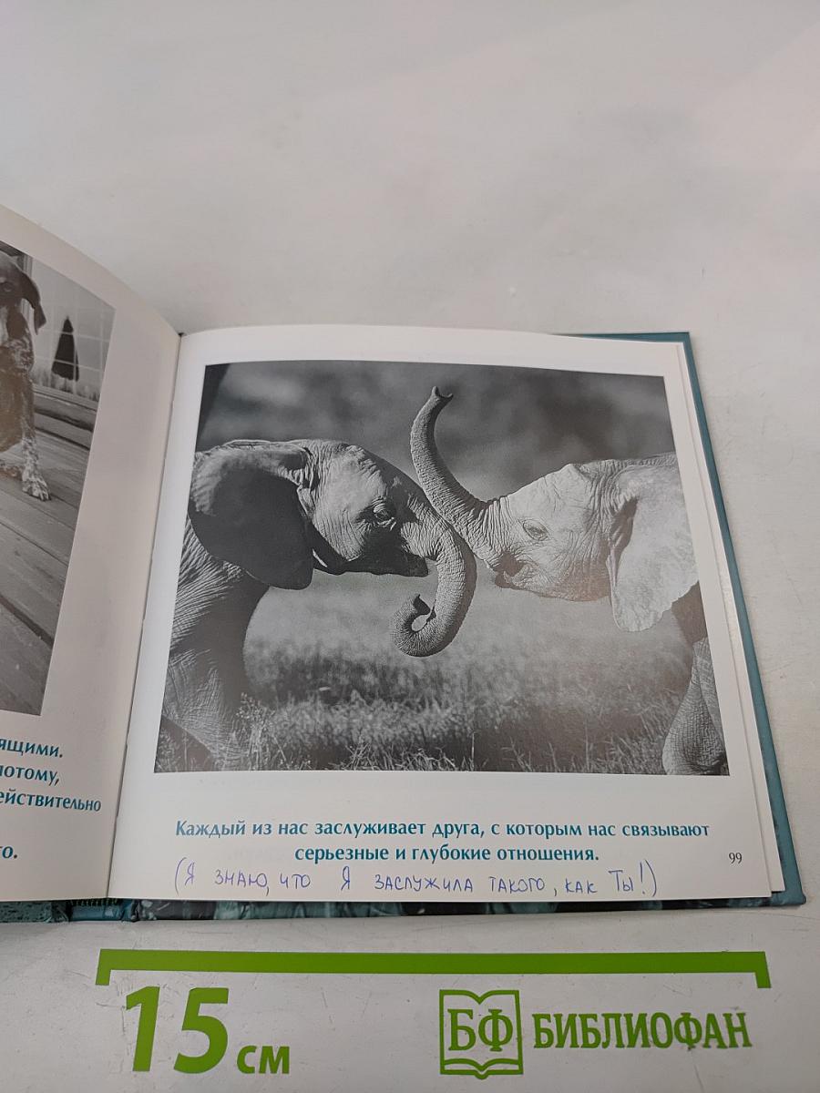 Друзья навеки. Подлинная ценность дружбы