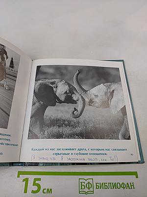 Друзья навеки. Подлинная ценность дружбы