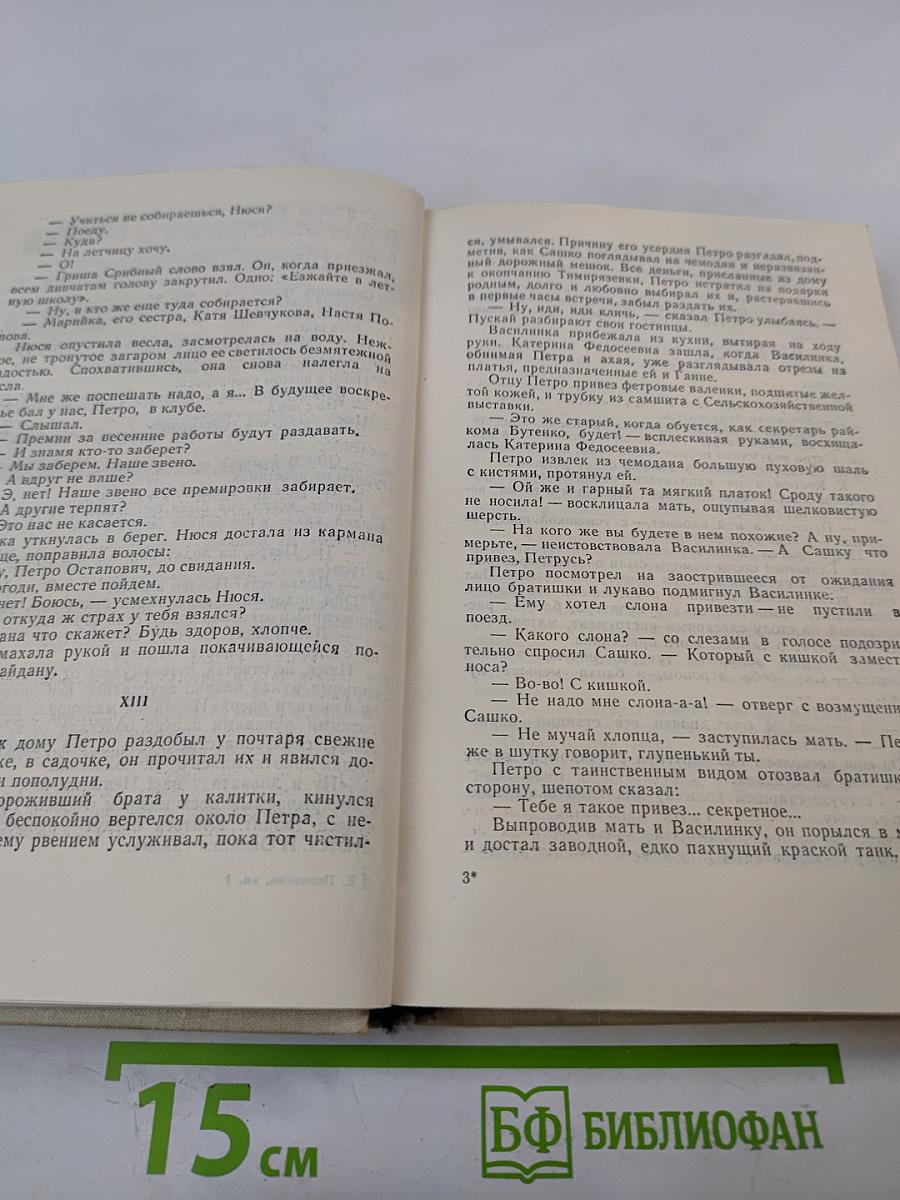 Семья Рубанюк. Книга первая