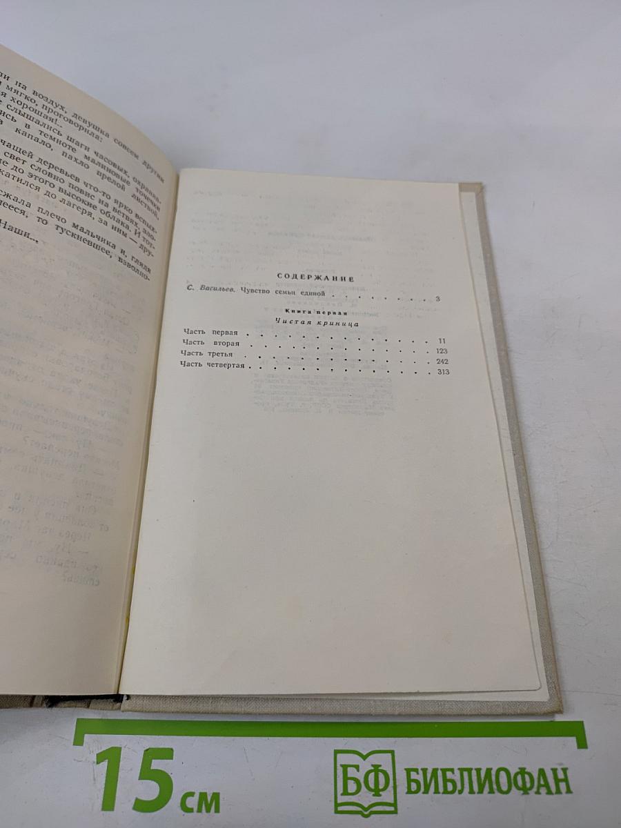 Семья Рубанюк. Книга первая