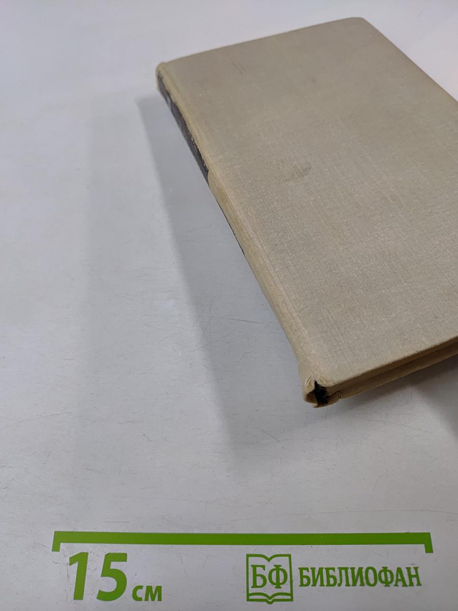 Семья Рубанюк. Книга первая