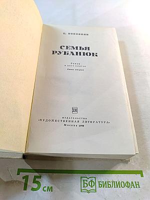Семья Рубанюк. Роман в двух книгах. Книга вторая